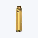 EV-NV-DISP-22-gold.webp