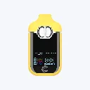 EV-LV-DISP-19-alt-05.webp