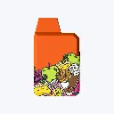 EV-NK-DISP-04-orange.webp