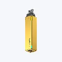 EV-NV-DISP-24-gold.webp